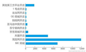中國企業(yè)電子商務(wù)IT建設(shè)報(bào)告 電子商務(wù)技術(shù)發(fā)展與應(yīng)用
